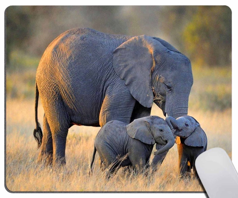 Solekla Mouse Pad Mat Desktop Laptop Office Elephant with Babies Mouse Pad, Mousepad Rectangle Customized Mouse Pads with Designs Non-Slip Rubber Smooth MousePads for Computer Laptop - Image 1